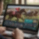 A detailed screenshot of a horse racing handicapping site showcasing its user interface